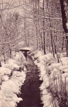 Filename=Struer_Lystanl_g_027.jpg
Filesize=152KiB
Dimensions=385x600
Date added=Aug 16, 2012 Struer_Lystanl_g_027.jpg