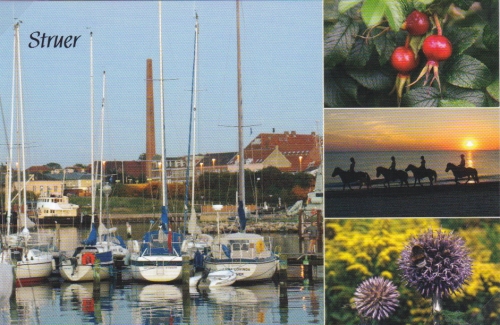 Klik for fuld størrelse