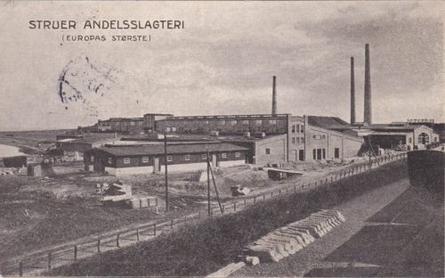 Klik for fuld størrelse