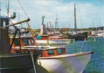 Havnen37.jpeg