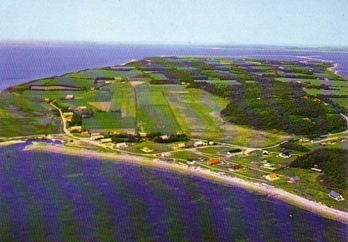 Klik for fuld størrelse